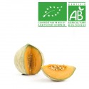 Melon Bio cal. 12