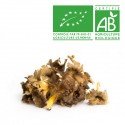 Champignon chanterelle Bio