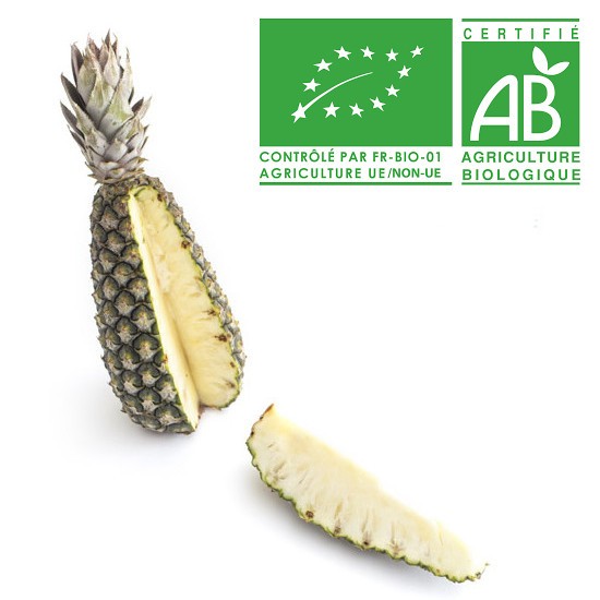 Ananas Bateau Bio