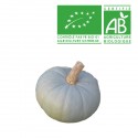 Courge Bleue de Hongrie Bio