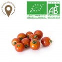 Tomate cerise Bio