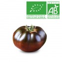 Tomate Ebeno Bio