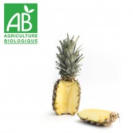 Ananas Extra sweet Bio